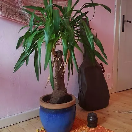 Panta Rhei Ubytování v soukromí