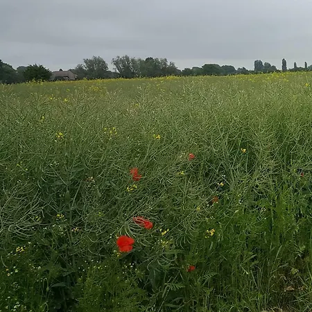 Panta Rhei Ubytování v soukromí Kleve (Dusseldorf)
