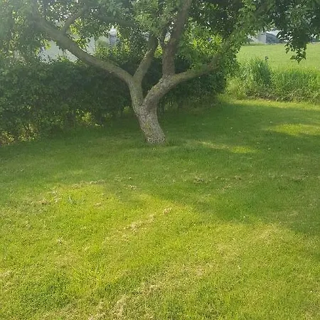 Panta Rhei